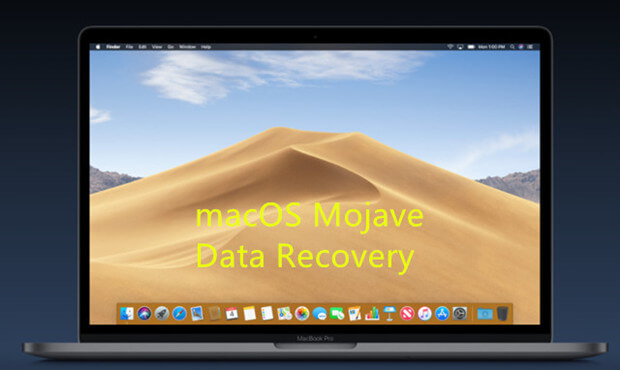 software photo recovery